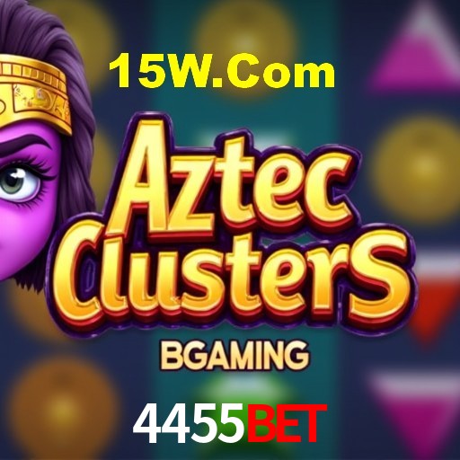 Interface Premium 4455bet