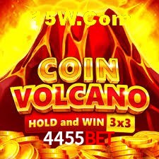 Experiência VIP 4455bet